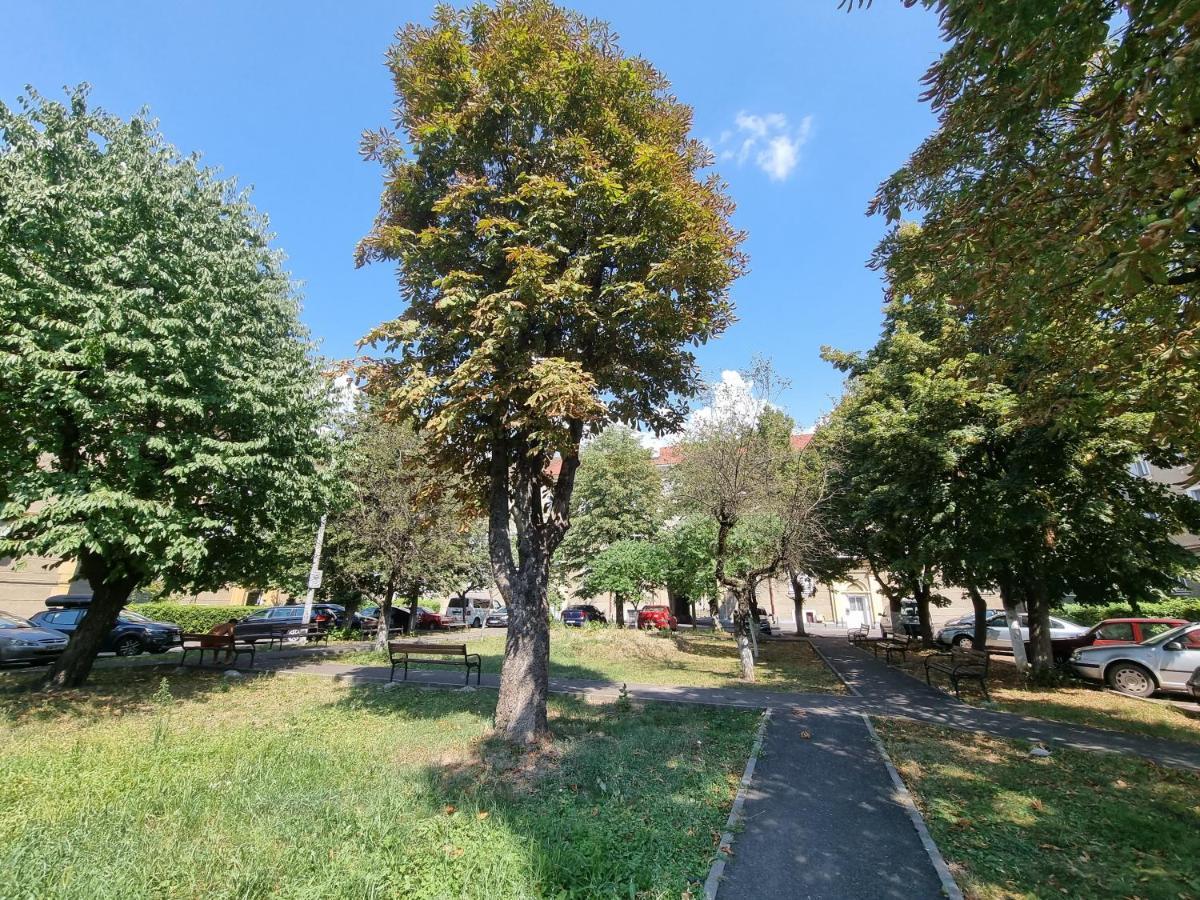 Ultra-Central 1 Bed Apartment, Str Nicolae Iorga Baia Mare Dış mekan fotoğraf