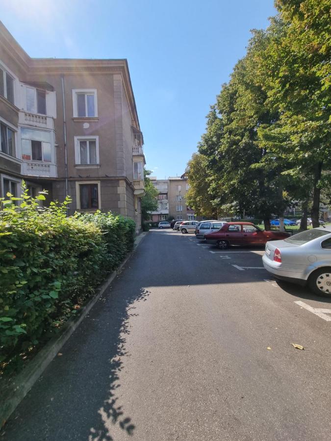 Ultra-Central 1 Bed Apartment, Str Nicolae Iorga Baia Mare Dış mekan fotoğraf